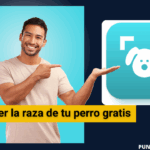 Cómo saber la raza de tu perro gratis