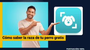 Cómo saber la raza de tu perro gratis