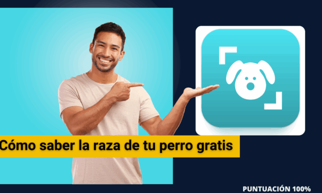 Cómo saber la raza de tu perro gratis